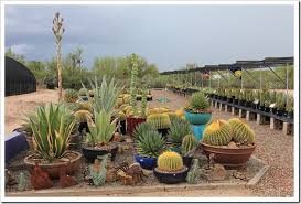 I migliori alberghi vicino a b & b cactus farm, tucson, az. Visit To B Amp B Cactus Farm Tucson Az Part 1