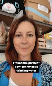 El tazón de vidrio perfecto para el agua de mi gato