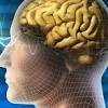 Story image for wikipedia "futures studies" from Knowledge@Wharton