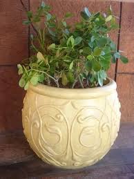 Can I Use Top Soil For My Potted Plants Ehow Com Plants Shamrock Plant Potted Plants Outdoor