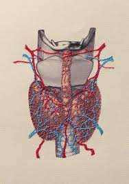 pin on thyroid