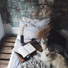 Tea Coffee And Books Photo Cats Cute Cats I Love Cats