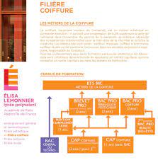 Filiere Coiffure Elisa Lemonnier Lycee Polyvalent