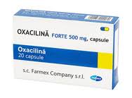 O doză de 750 mg sau o doză de 1 g de două ori pe zi, timp de 7 zile, împreună cu alte antibiotice şi medicamente pentru tratamentul ulcerelor gastrice. Oxacilina Sandoz 250 Mg Capsule Rezumatul Caracteristicilor Produsului Behealthy