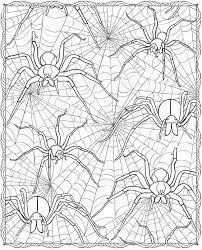 Spiders coloring page to download and coloring. Free Printable Spider Coloring Pages For Kids