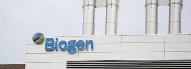 The company has an average price target of $382.27 with a high of $500.00 and a low of $245.00. Biogen Stock Plummets 28 After Company Halts Alzheimer S Trials Marketwatch