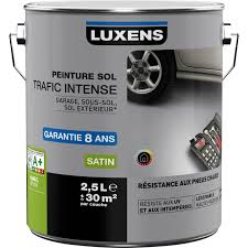 Tous les produits vendus par leroy merlin et par les marchands sont garantis deux ans à compter de la date d'achat. Peinture Anti Moisissure Leroy Merlin Gamboahinestrosa