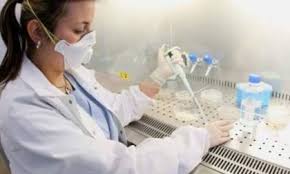 Il laureato in tecniche di laboratorio biomedico: 761 Candidati Per 48 Posti Da Tecnico Sanitario Di Laboratorio Biomedico Prima Il Levante