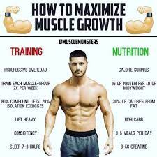 For not bulking up or bulking up, my theory is this… 1. How To Gain Muscle Quickly Bulk Up With The Best Legal Steroids In The Us Muscle Growth Ectomorph Workout Fitness Nutrition Plan