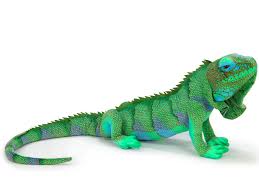 Image result for monika babi%u0161ov 