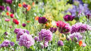 Sending you warm wishes for a lovely you know what i like best about spring? 10 Literary Quotes To Celebrate The First Day Of Spring