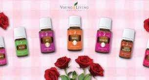 Lavender essential oil by young living, 15 milliliters, topical and aromatic. Kreasi Resep Essential Oil Untuk Diffuser Anda Young Living Blog