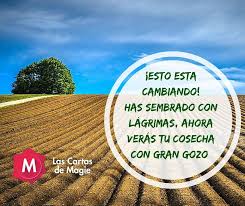 El Que Siembra Con Lagrimas Cosecha Con Regocijo Las Cartas De Magie Las Cartas De Magie Cosecha Siembras