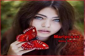 Mariposas🦋🦋🦋🦋🦋🦋