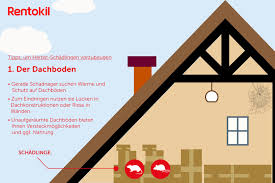 Natürlich kann aber auch der suchende selbst einen makler mit der wohnungssuche beauftragen, in dem fall muss allerdings dann auch der künftige mieter. 10 Tipps Um Schadlingen Im Eigenen Haus Vorzubeugen Schadlingsguru