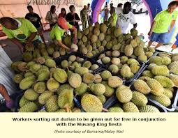 Some of the other functions of ministry of agriculture malaysia are conducting agricultural. Malaysia Agriculture Ministry Hopes Durian Entrepreneurs Will Escalate Agrotourism Tfnet International Tropical Fruits Network