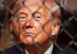 Donald Trump Struts Around UFC Cage Match in Miami as JD Vance Flees Peace  Talks in Pakistan