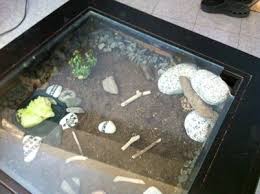 This site is dedicated to providing exchange of ideas and information to create a better understanding of the care and breeding of the highest quality tortoise tables for sale in the uk. Tortoise Coffee Table Habitat 5 Steps Instructables
