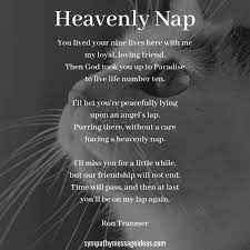 50 cat loss poems ranked in order of popularity and relevancy. Cat Loss Poems Archives Sympathy Card Messages