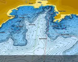 C Map Cartography Raymarine Cartography