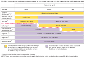 recommended adult immunization schedule united states