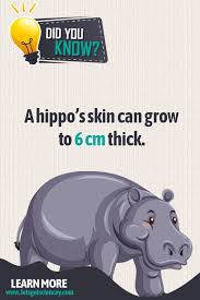 That S A Thick Skin Fun Facts About Animals Animal Facts Animal Facts For Kids