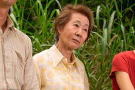 Maggie visits from…well all over the world. What Is Minari Recipes And A History Of The Korean Vegetable In The Oscar Contender Movie