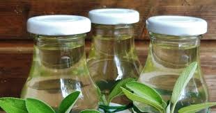 Es Ist Ganz Einfach Diesen Leckeren Und Heilsamen Sirup Selbst Zu Machen Und Man Hat Eine Schone Moglichkeit Den Uppigen Salbei Im G Sirup Rezepte Sirup Lecker