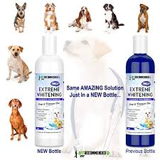 Antibiotics and apple cider vinegar. Vet Recommended Omg Extreme Dog Whitening Shampoo 16 Oz 473ml Coconut Based 100 Safe Free From Soaps Detergent Bleach Fragrance Make Your Dog S Coat Clean Silky And Smooth Made In Usa Pricepulse