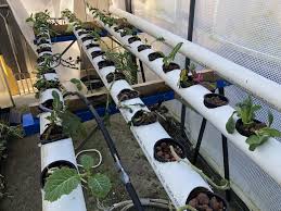 I had wanted to start a hydroponics project for some time, and after a bit of research, i decided to go with an nft system because it… Nft Hydroponics Plans Hydroponics And Aquaponics Tips And Tricks