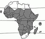 De acuerdo a la información proporcionada por la subsecretaria de salud. Allium Cepa L