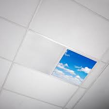 Search all products, brands and retailers of fluorescent ceiling lamps: Octo Lights Fluorescent Light Covers 2x2 Flexible Ceiling Light Diffuser Panels Decorative Clouds For Classrooms And Offices 011 Walmart Com Walmart Com