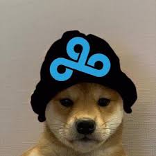 Bape xbox pixels supreme draw cartoon xxxtentacion anime dope illustrator vectors shark drawing wallpapers designer bang sketch bulletbill popart doodle. Dogwifhat Know Your Meme