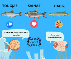 Kala is a boutique festival that takes place in dhërmi, a stunning beach location on the albanian riviera. Trepimae Suvekodu Home Facebook