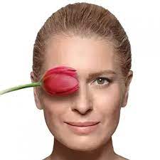 Abclinic Art Beauty Estheticon Com
