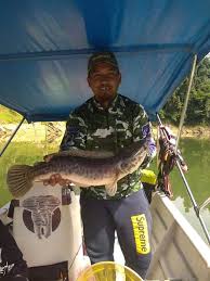Jadi airnya tidak bercampur dengan air laut yang masin. Chalet Terapung Tasik Banding Photos Facebook