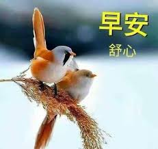 Birds Chirping In The Morning Quotes 