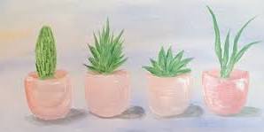 Succulents