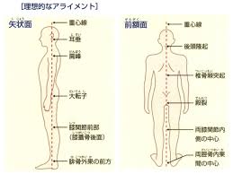 姿勢 アライメント