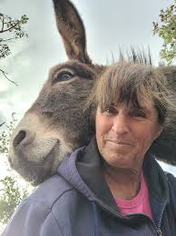 Looking for 22 bales of straw for Halloween event