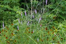 Maybe you would like to learn more about one of these? Sprinkle Rd Walnut Creek Thoughts On 42