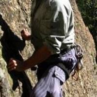 Image result for Styppeiochloa gynoglossa