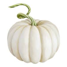 Element 9 Png Liked On Polyvore Featuring Autumn And Filler White Pumpkins Pumpkin Clipart Pumpkin Png