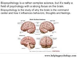 It's the source of our consciousness, so we wouldn. An Introduction To Biopsychology