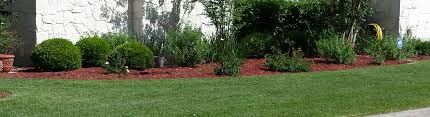 Mowing, edging, weedeating, trash removal, tree trimming, fall/spring cleanup, shrub and bush trimming and shaping, gutter cleaning, i have over 20 years of lawn heart of texas lawn service. Best Hedge Trimming Killeen Texas Trees Bush Pruning Killeen Tx