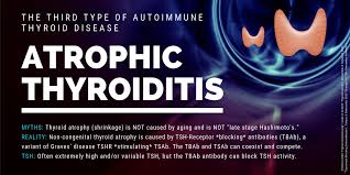 And sometimes an ultrasound can be used to diagnose hashimoto's thyroiditis when the person has negative thyroid antibodies. The Third Type Of Autoimmune Thyroid Disease Atrophic Thyroiditis Thyroid Patients Canada