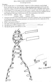Biology corner dna coloring transcription and translation answer key from mrna and transcription worksheet , source:congresoeducacionucsf.info all you have to unlike replication, only one strand is transcript. Pin On 7th Science