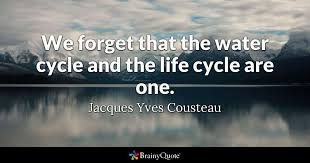 We are all in the same boat. Top 10 Jacques Yves Cousteau Quotes Brainyquote