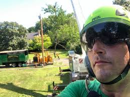 How often do you let your employees take breaks?