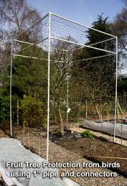 Fruit tree netting to catch fruit. 7 Garden Fruit Trees Ideas Fruit Trees Fruit Cage Garden